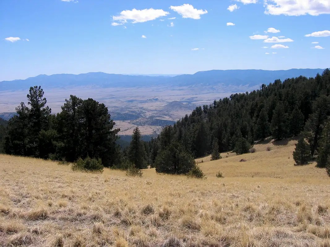 Magdalena Mountains Climbing, Hiking & Mountaineering SummitPost