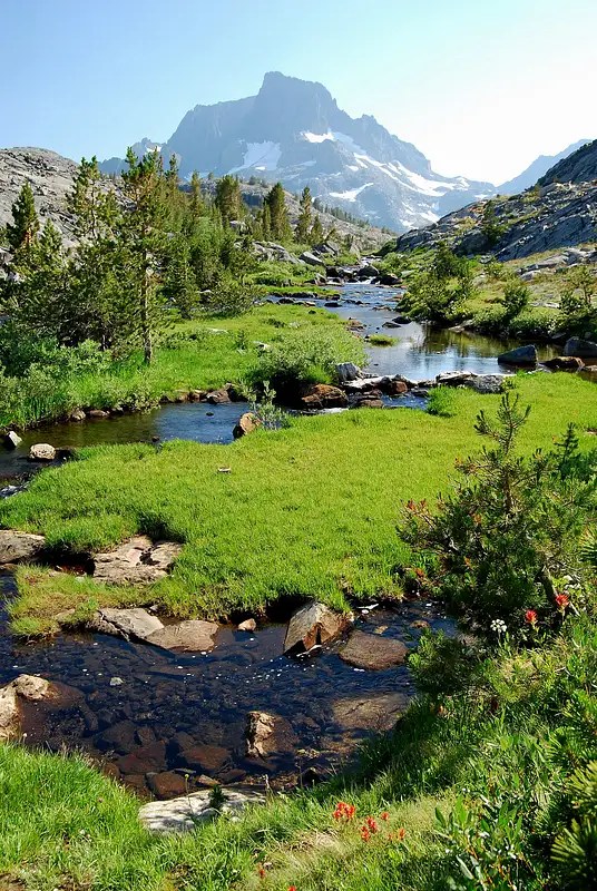 Meadow stream near Thousand Island Lake Photos, Diagrams & Topos