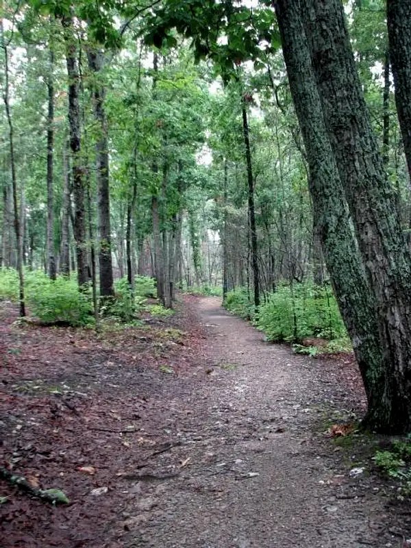 Browns Mountain Climbing, Hiking & Mountaineering SummitPost