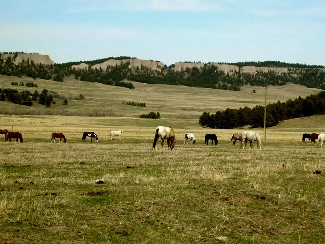 Nebraska's Pine Ridge Climbing, Hiking & Mountaineering SummitPost
