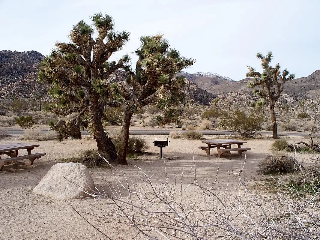 Quail Springs picnic area Photos, Diagrams & Topos SummitPost