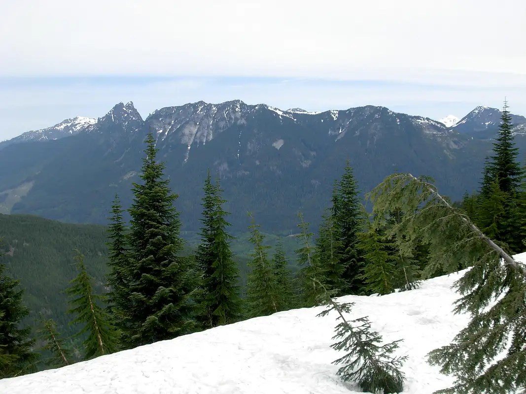 Looking North From Cleveland Mountain Photos, Diagrams & Topos