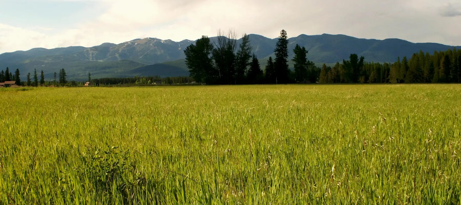 Big Mountain (MT) Climbing, Hiking & Mountaineering SummitPost