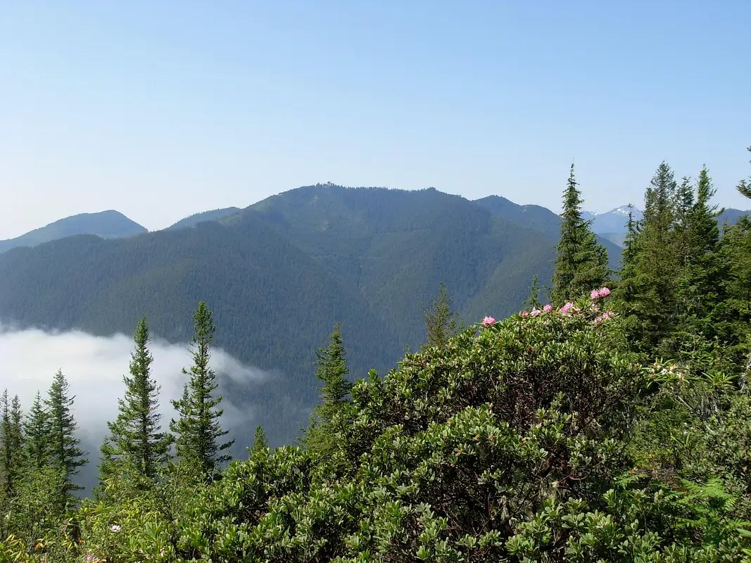 Mount Walker : Climbing, Hiking & Mountaineering : SummitPost