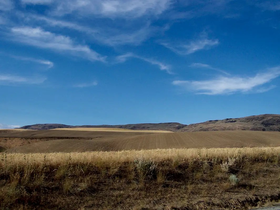 Badger Mountain (WA) Climbing, Hiking & Mountaineering SummitPost