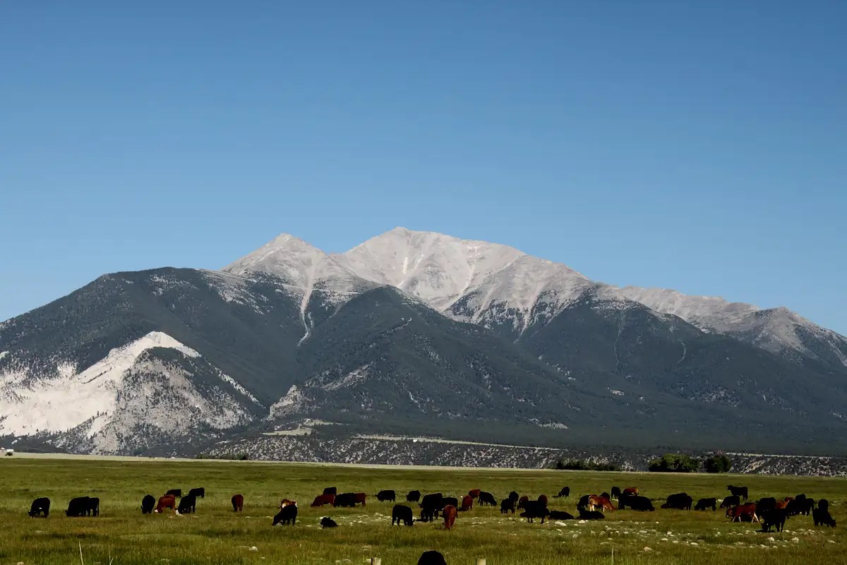 Mt. Princeton, Colorado Photos, Diagrams & Topos SummitPost