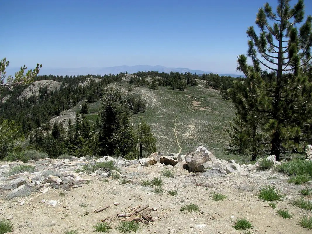 Mount Pinos Climbing, Hiking & Mountaineering SummitPost