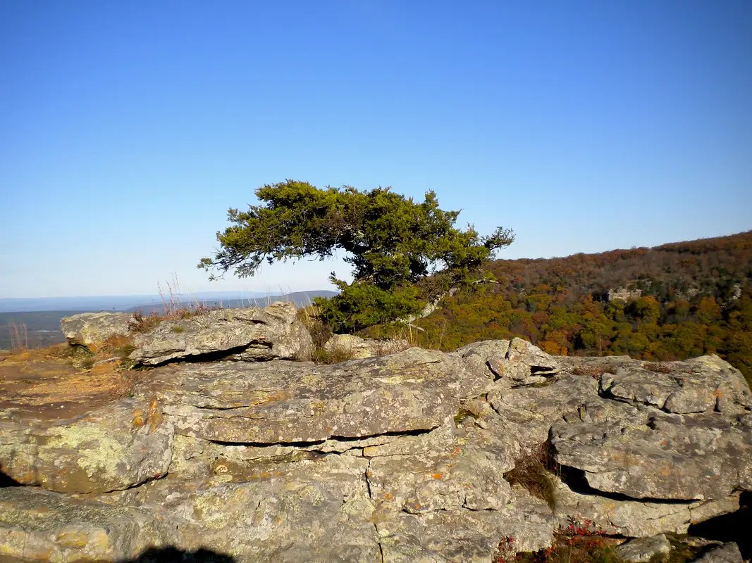 Mount Magazine State Park Photos, Diagrams & Topos SummitPost