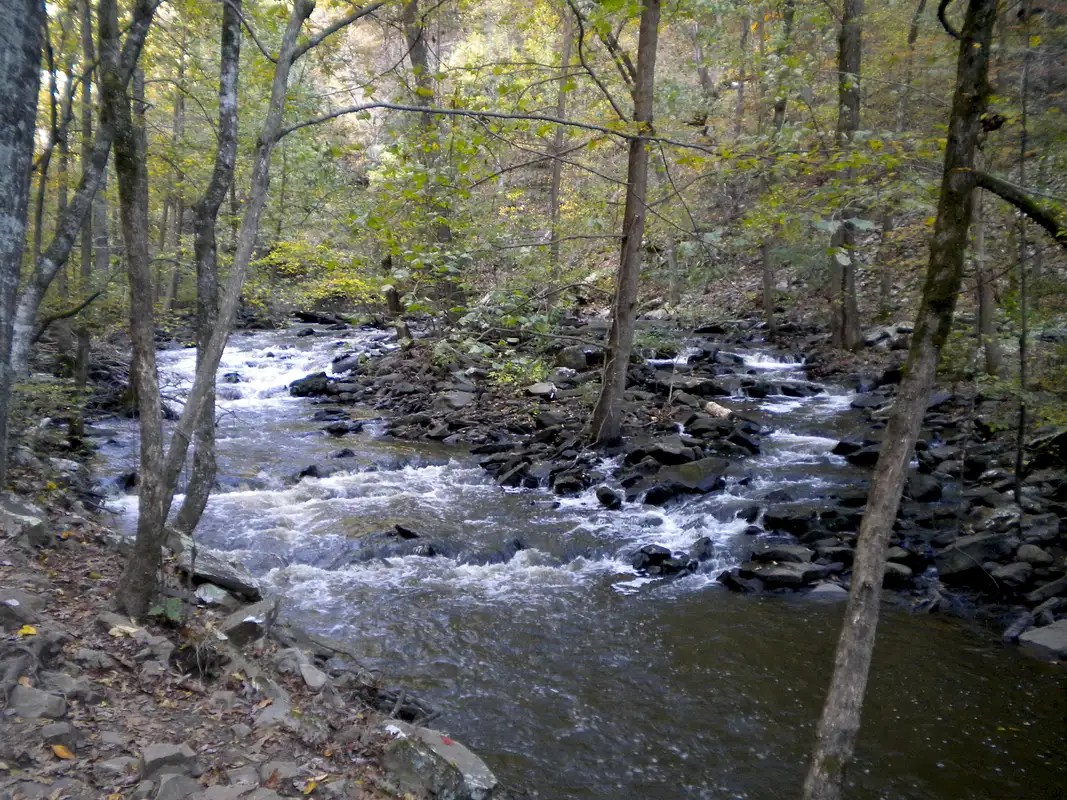 Petit Jean State Park, AR Photos, Diagrams & Topos SummitPost