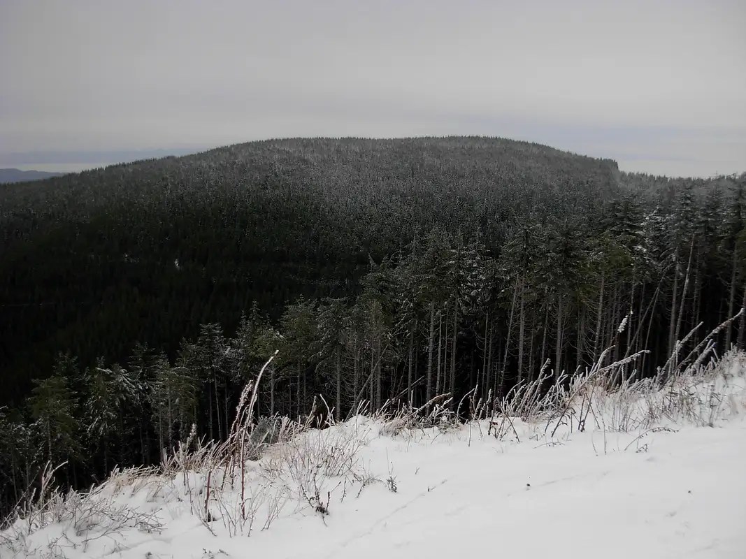 Larch Mountain Climbing, Hiking & Mountaineering SummitPost