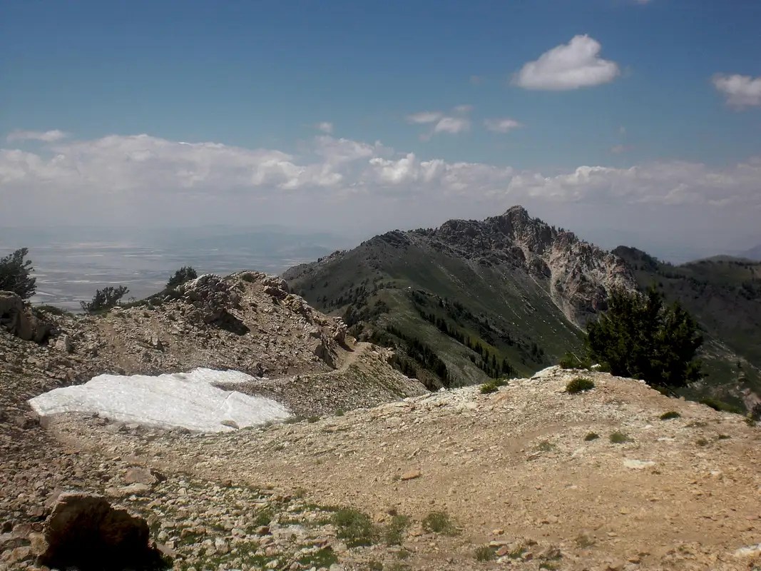 Willard Peak from Ben lomond Photos, Diagrams & Topos SummitPost