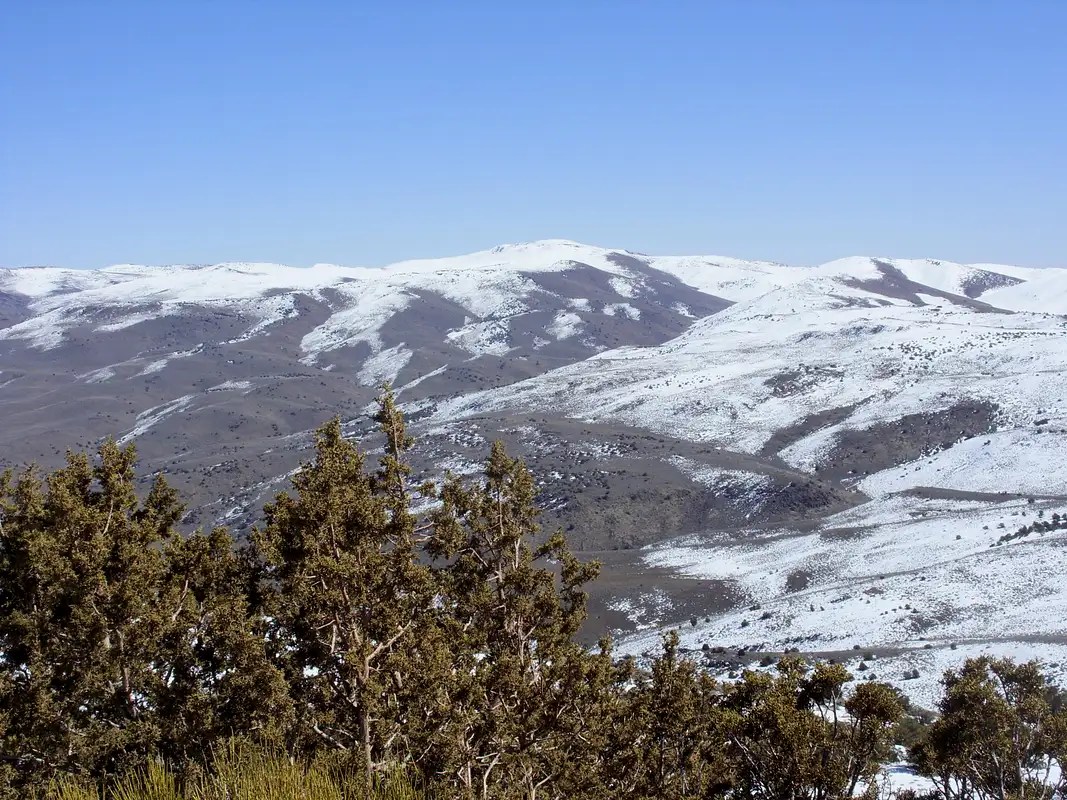 Pond Peak 8031' from Spanish Springs Peak 7401' Photos, Diagrams & Topos SummitPost