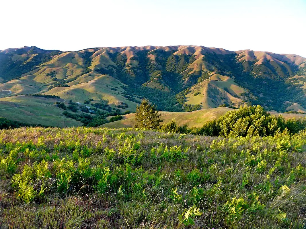 Loma Alta Climbing, Hiking & Mountaineering SummitPost