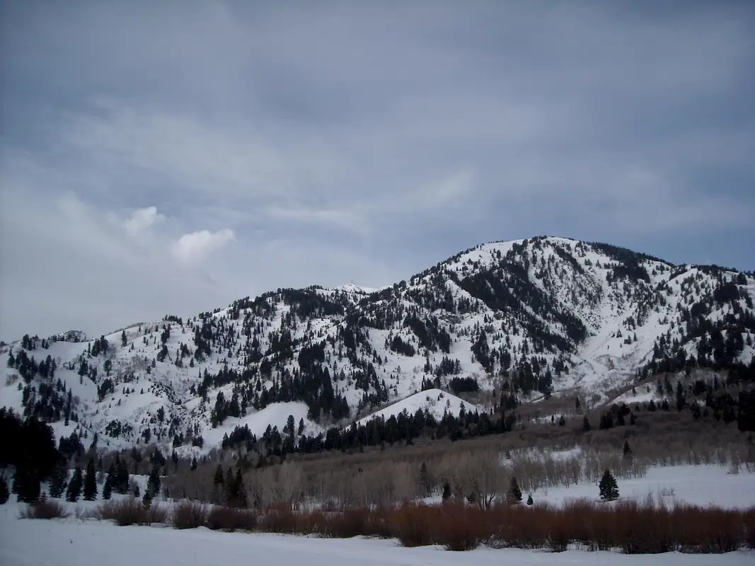 Sardine Peak (UT) Climbing, Hiking & Mountaineering SummitPost
