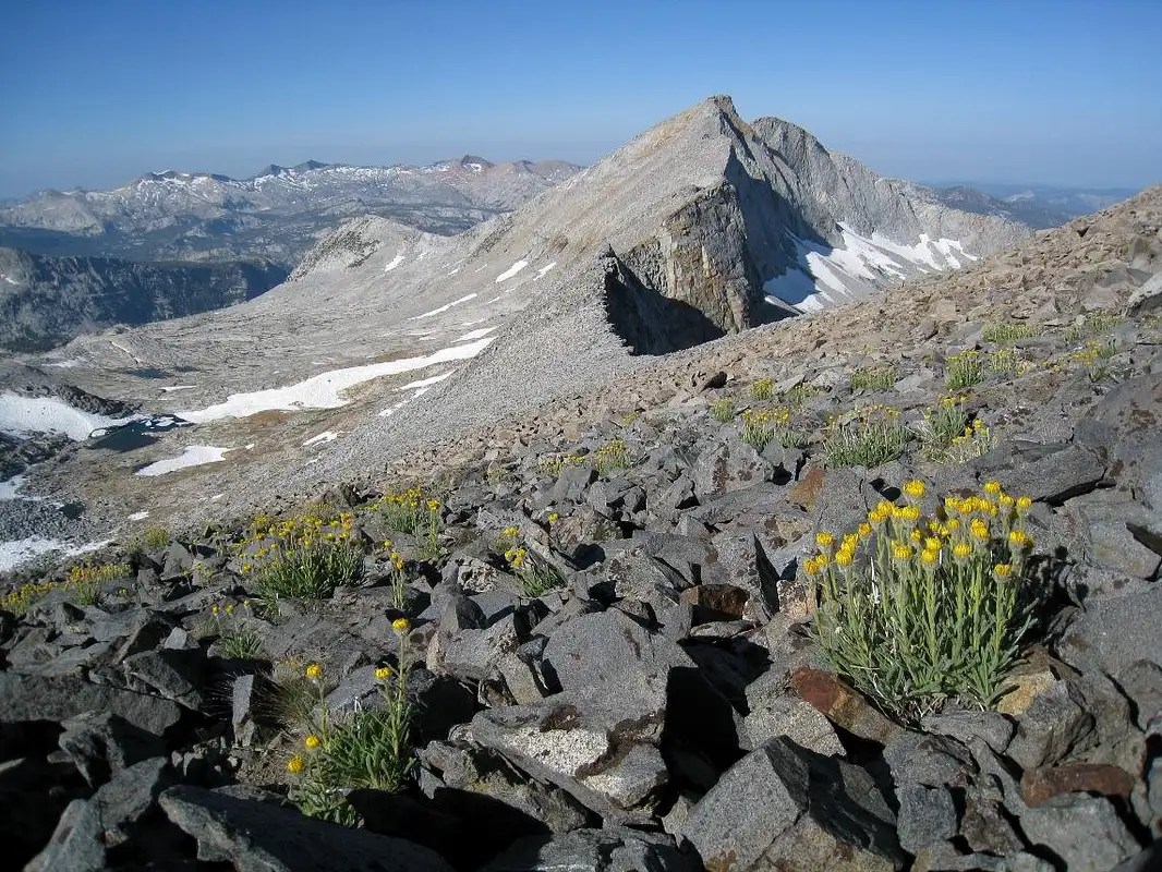 Mount Florence Climbing, Hiking & Mountaineering SummitPost