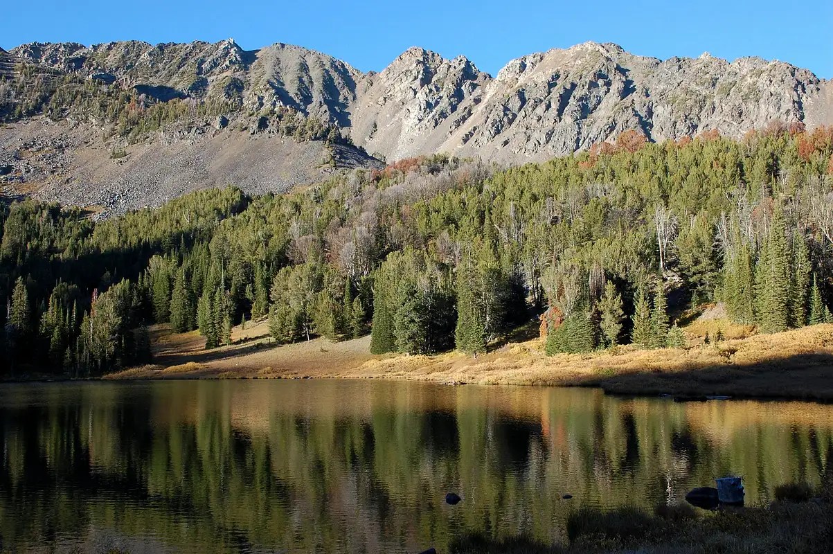 Branham Peaks from Branham lakes Photos, Diagrams & Topos SummitPost