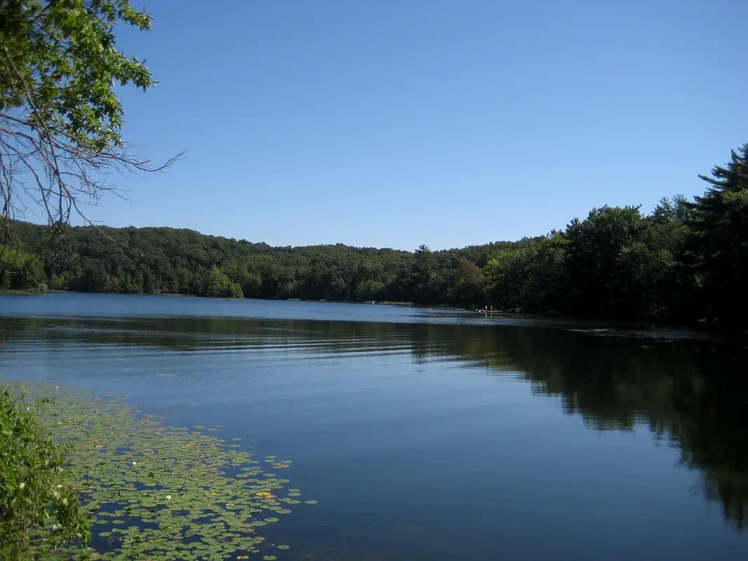 North Country Trail Yankee Springs Recreation Area Trip Reports