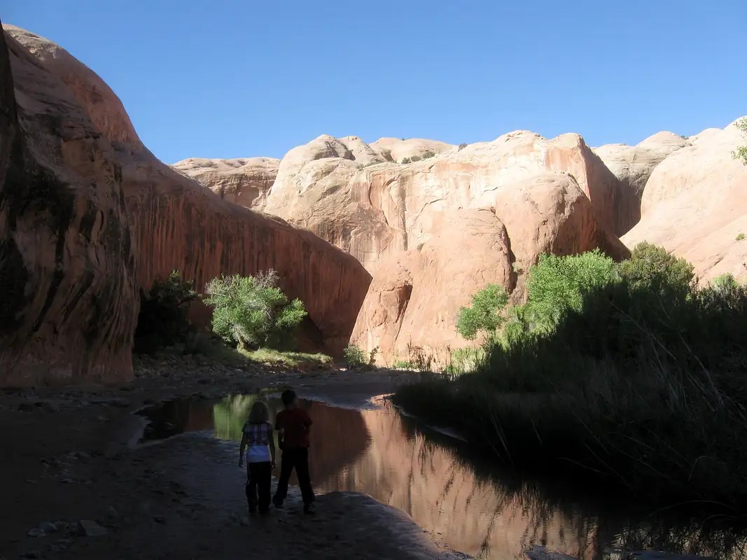 Halls Creek Narrows Canyoneering SummitPost