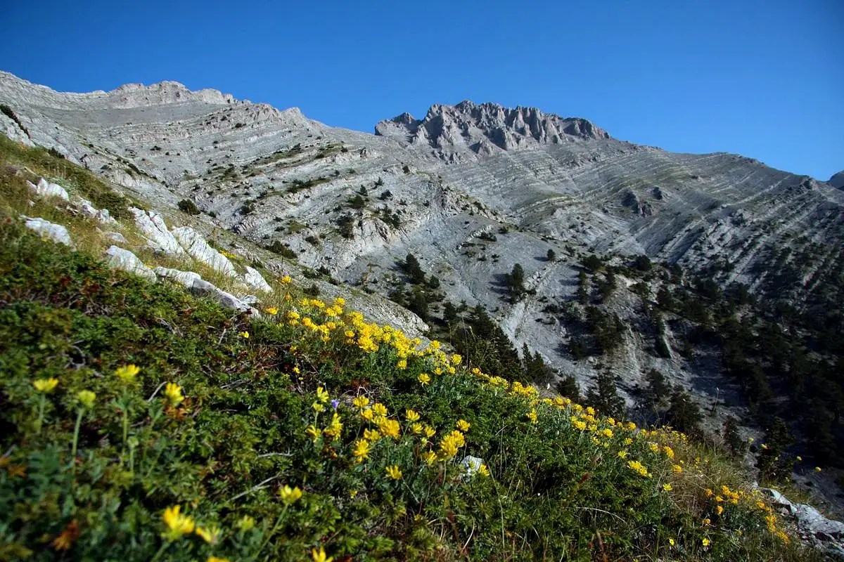 Mount Olympus, Greece Photos, Diagrams & Topos SummitPost