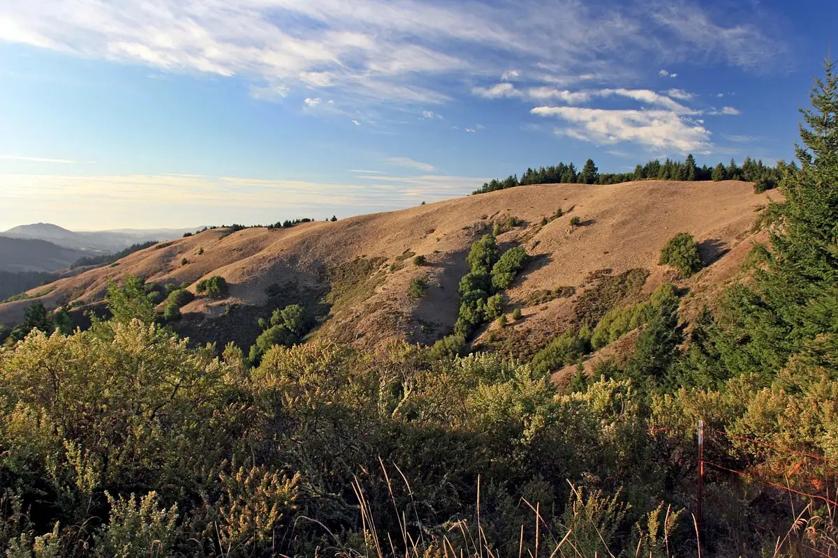 Hills of west Marin Photos, Diagrams & Topos SummitPost