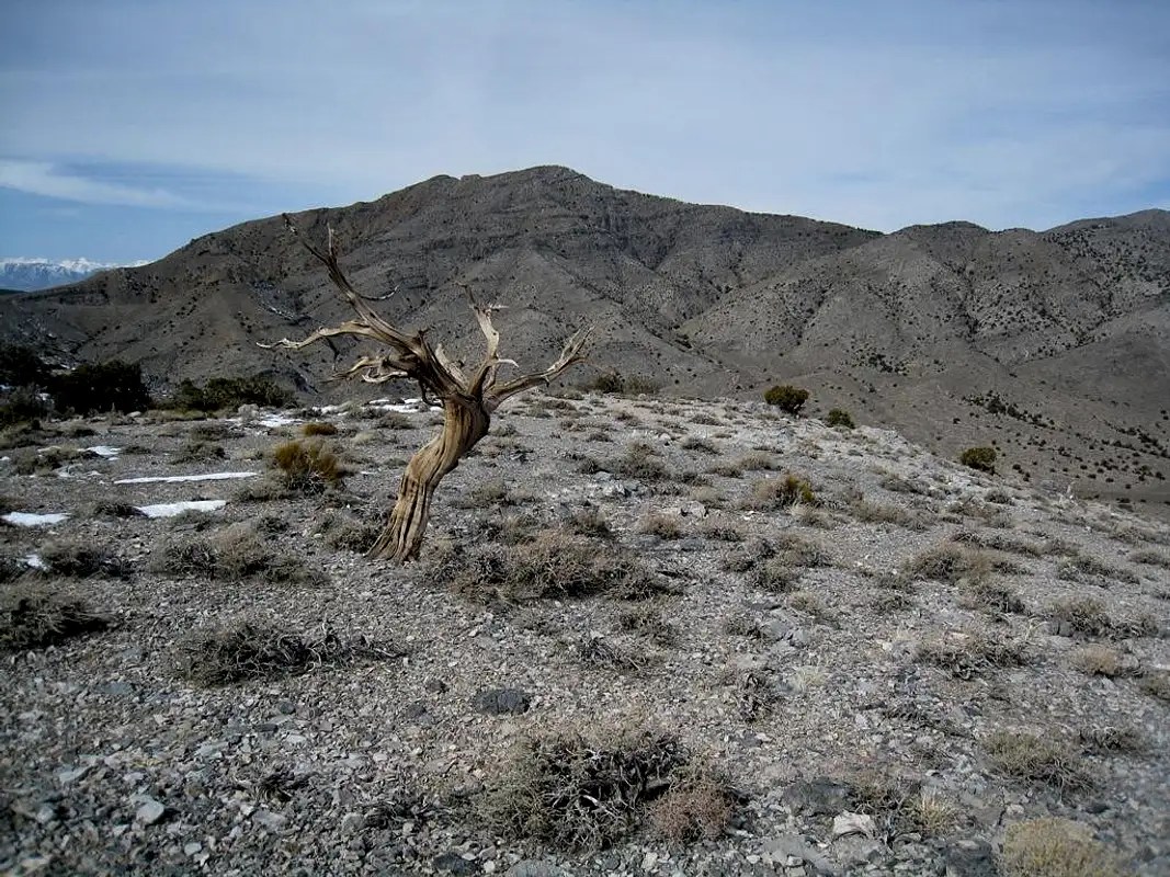 Dry Mountain from 7900 Foot Saddle Photos, Diagrams & Topos SummitPost