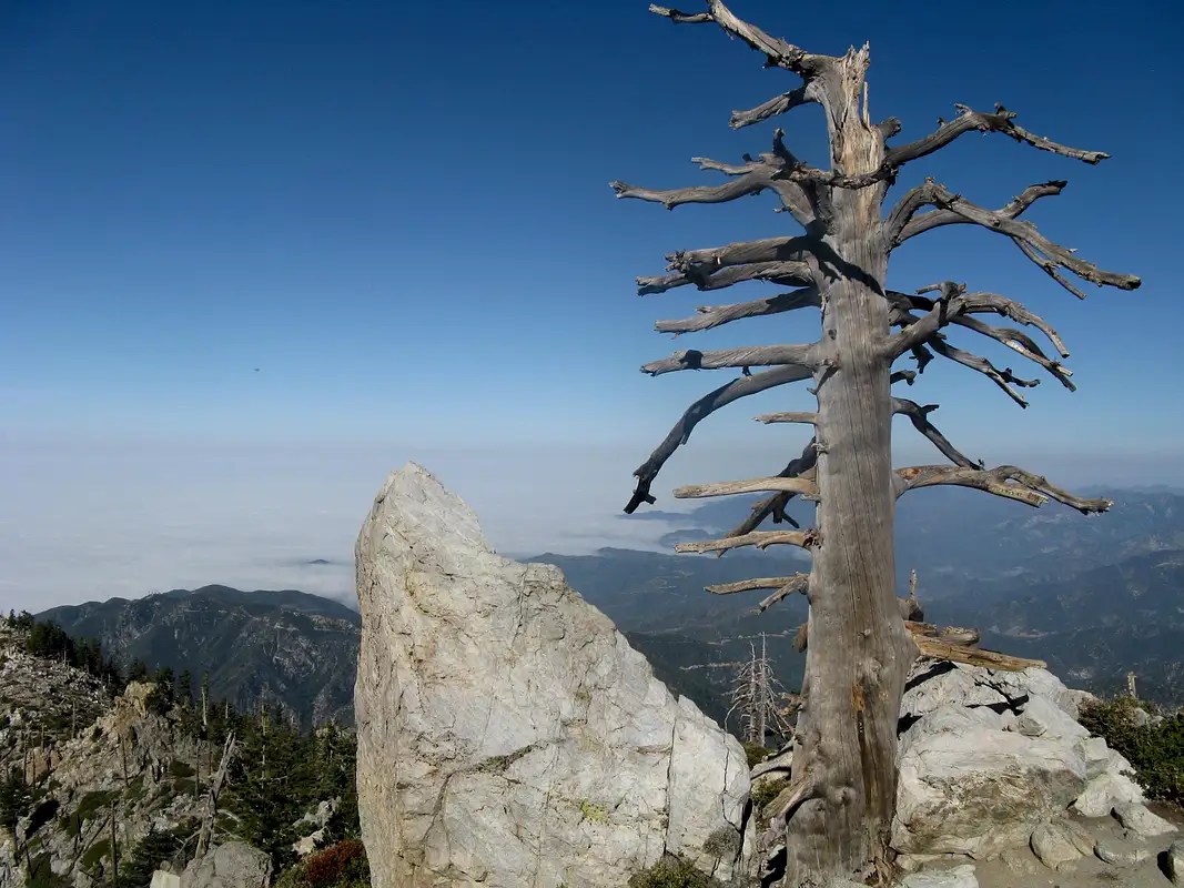 Ontario Peak View Photos, Diagrams & Topos SummitPost