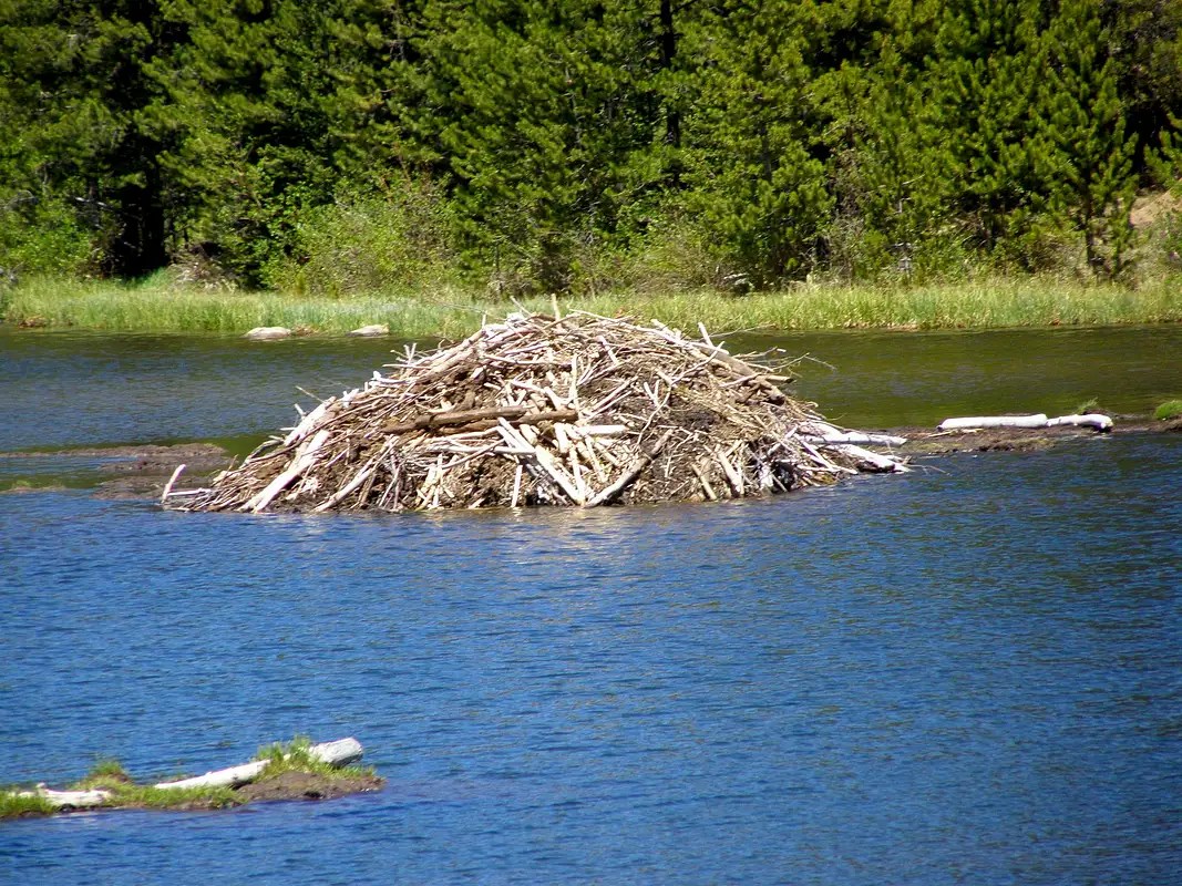 Beaver Lodge Photos, Diagrams & Topos SummitPost