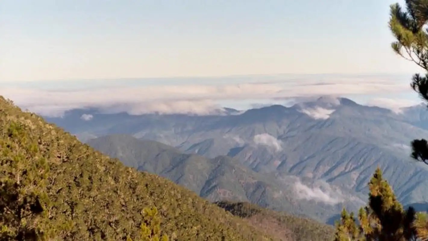 Pico Duarte Climbing, Hiking & Mountaineering SummitPost