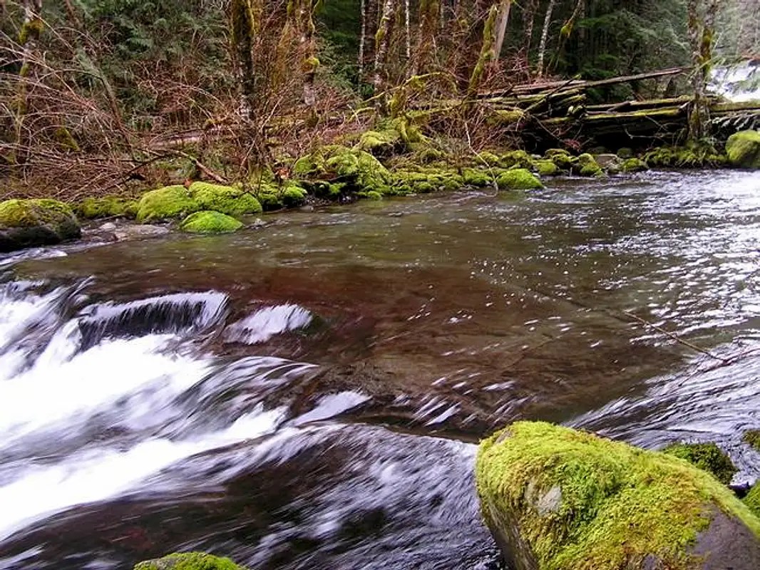 Tanner Butte Climbing, Hiking & Mountaineering SummitPost