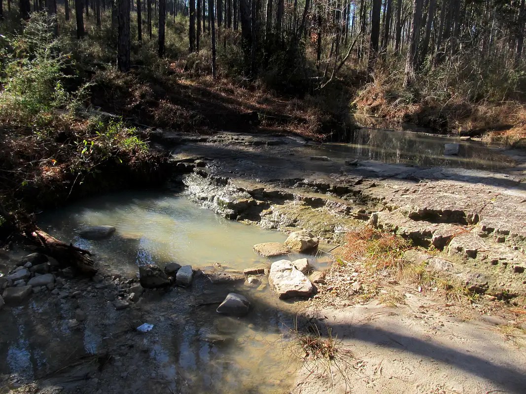 Kisatchie National Forest Photos, Diagrams & Topos SummitPost