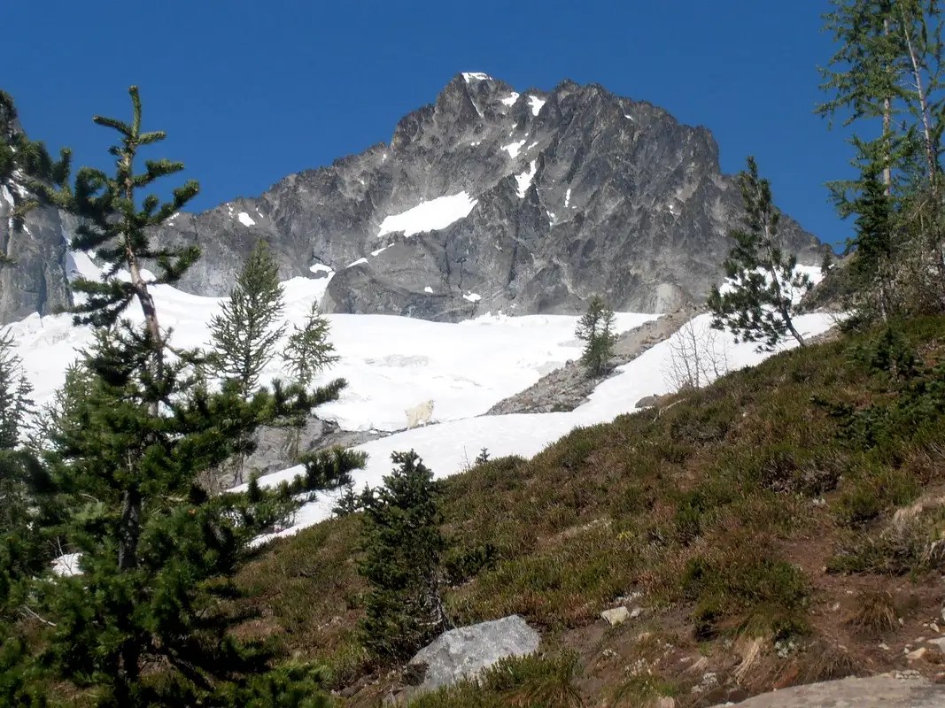 Bonanza Peak Climbing, Hiking & Mountaineering SummitPost