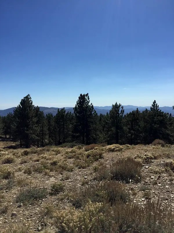 Frazier Mountain Climbing, Hiking & Mountaineering SummitPost