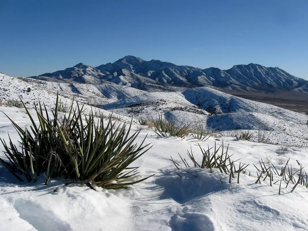 Potosi Mountain Climbing, Hiking & Mountaineering SummitPost