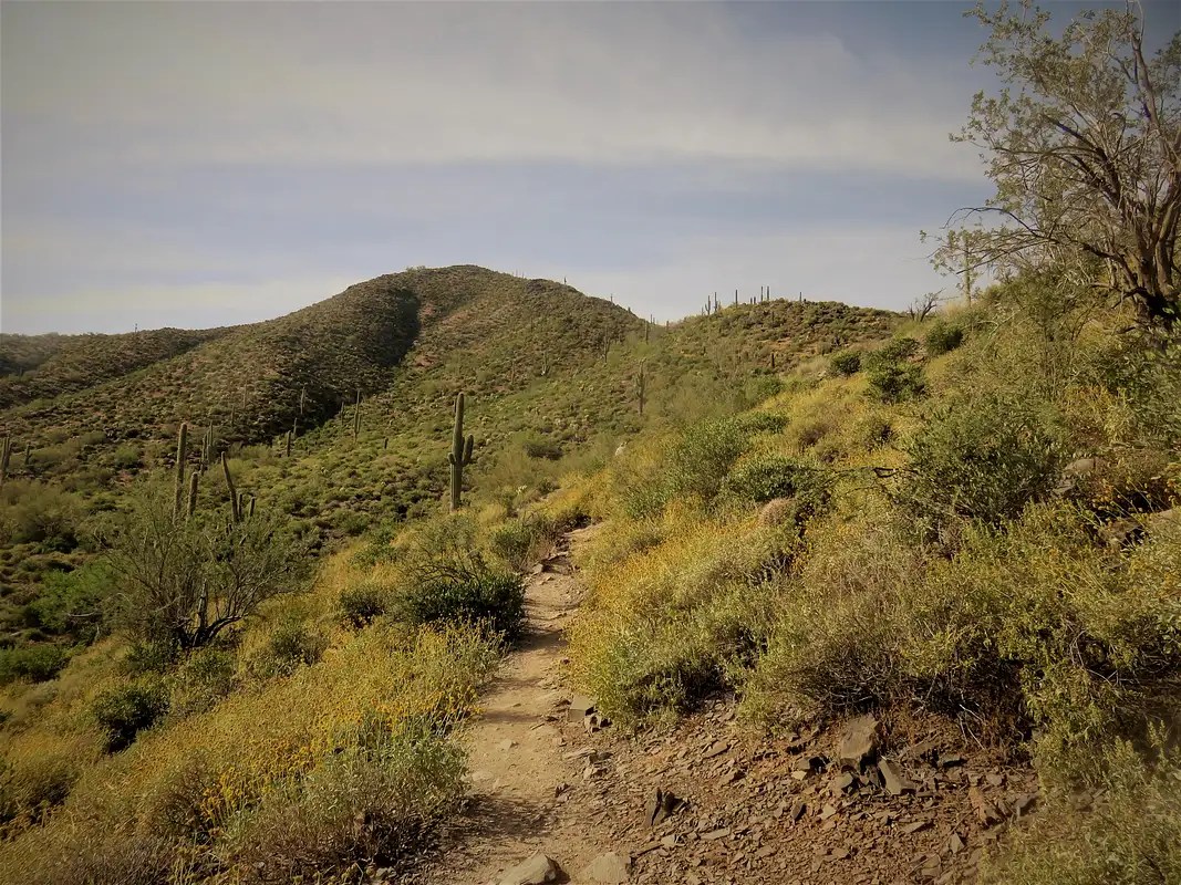 Black Mountain (AZ) Climbing, Hiking & Mountaineering SummitPost