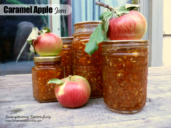 Caramel Apple Jam Sumptuous Spoonfuls