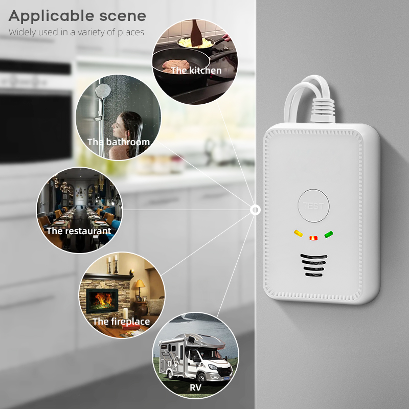 Network 1224V Home safety Combustible Natural Gas Leak Alarm Fire