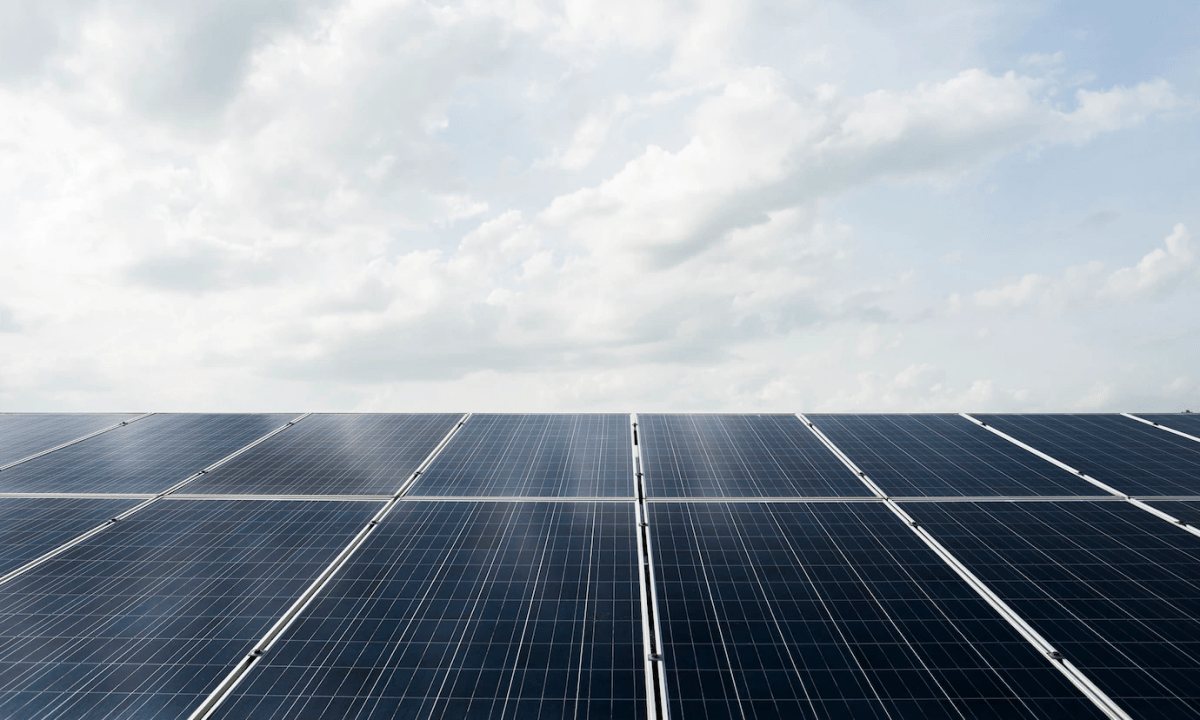 Solar Panel Distributors in India Powering Sustainable Growth