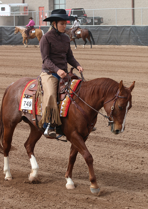 Ranch Riding Sun Circuit