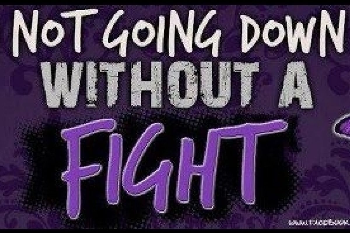 Not Going Down Without A Fight The Suncoast Post