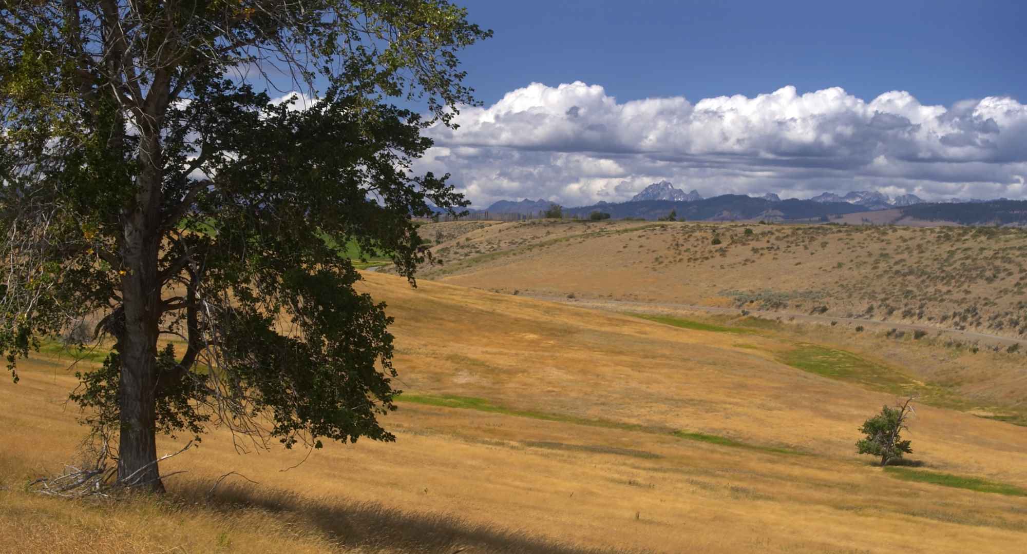 Ellensburg Land for Sale Sundance Ridge Amazing Views and Acreage