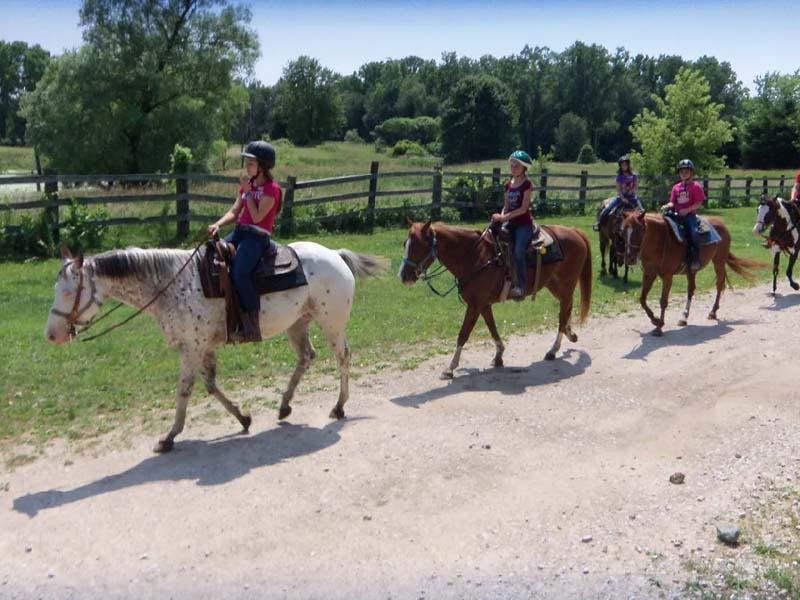 Gallery Grand Ledge, MI Sundance Riding Stables
