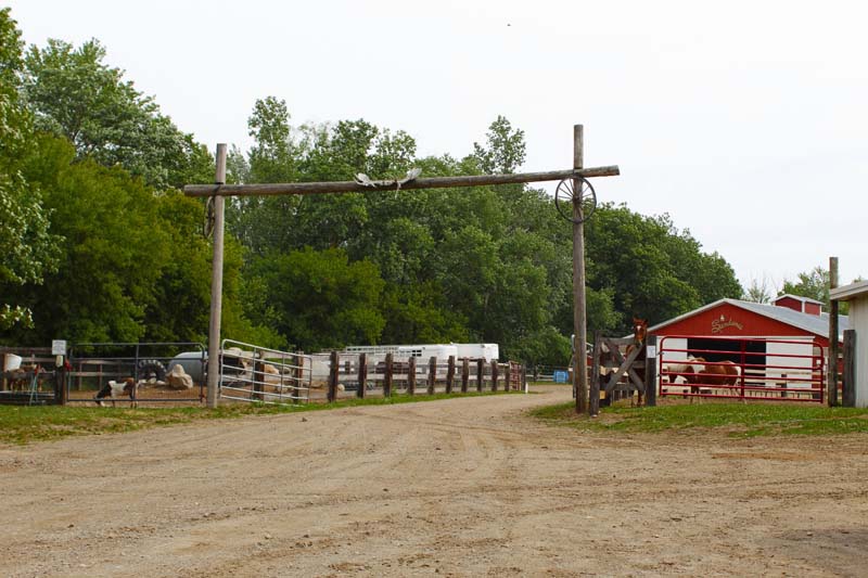 Boarding Grand Ledge, MI Sundance Riding Stables