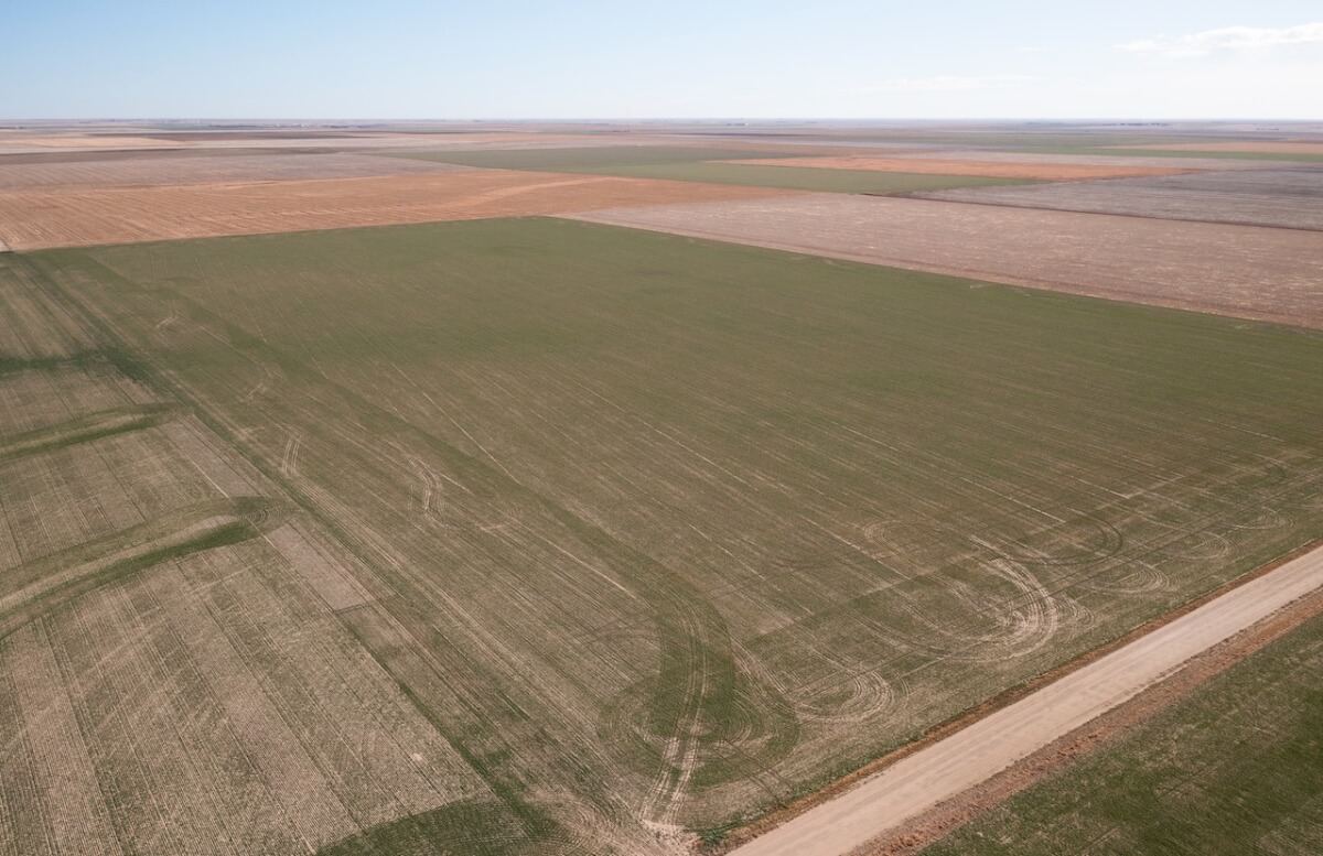 148 Acres of Tillable Farm Ground Southwest of Scott City in Scott