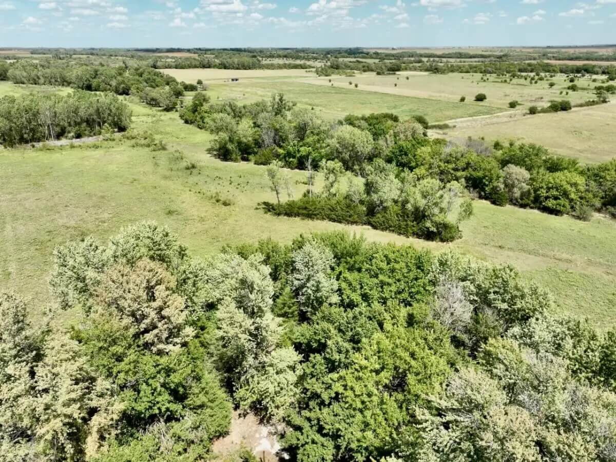 161.5 Acres West of Norwich in Kingman County, Kansas Agriculture