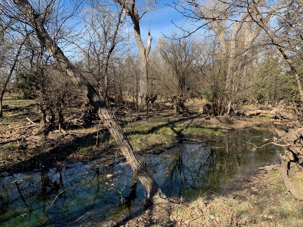 Osborne County Kansas Deer Hunting Land Sundgren Realty Inc