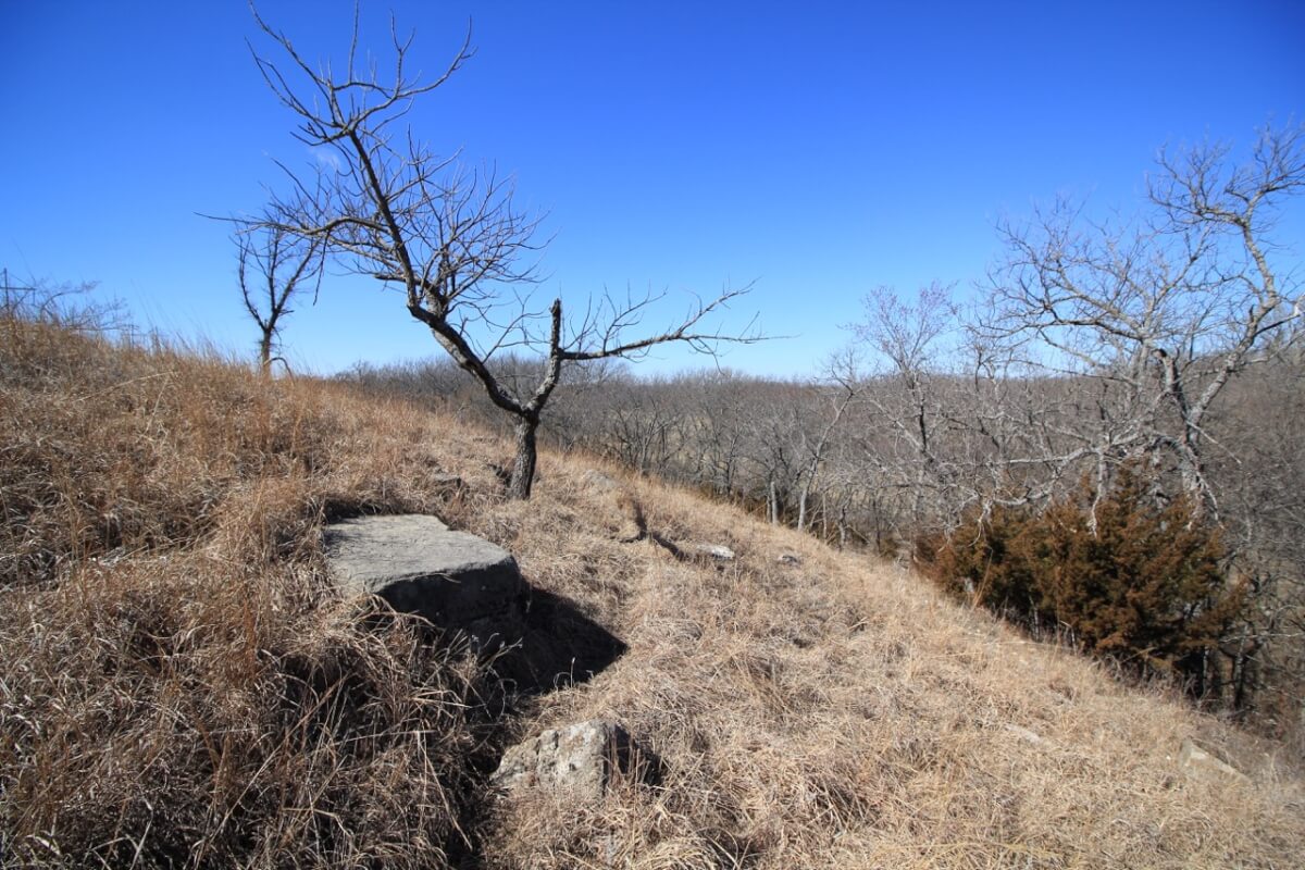 Flint Hills Pasture, Timber, Walnut River, Leon Land For Sale