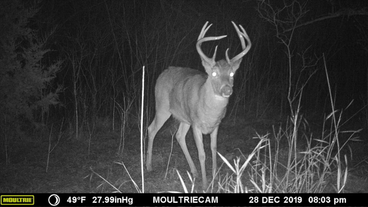 Marion County Hunting Land Sundgren Realty Inc