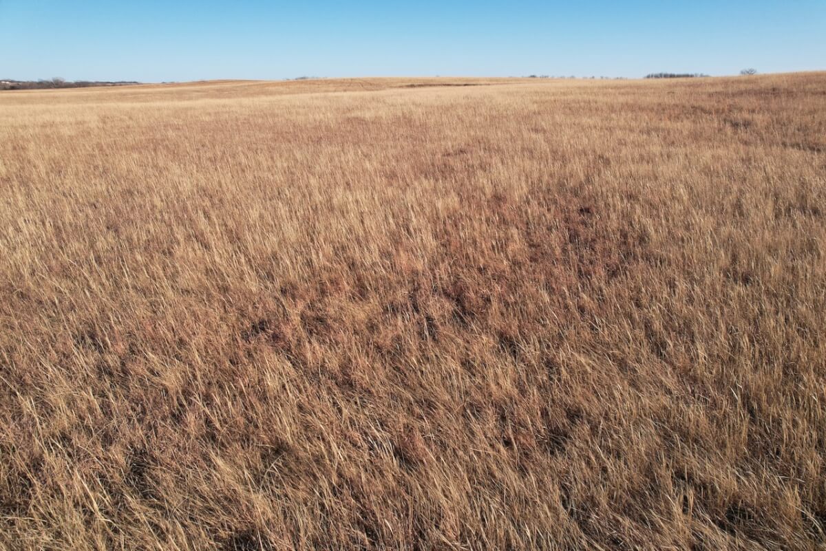Osage County, Kansas Land Auction, Tract 29 281 Acres Pasture, Pond