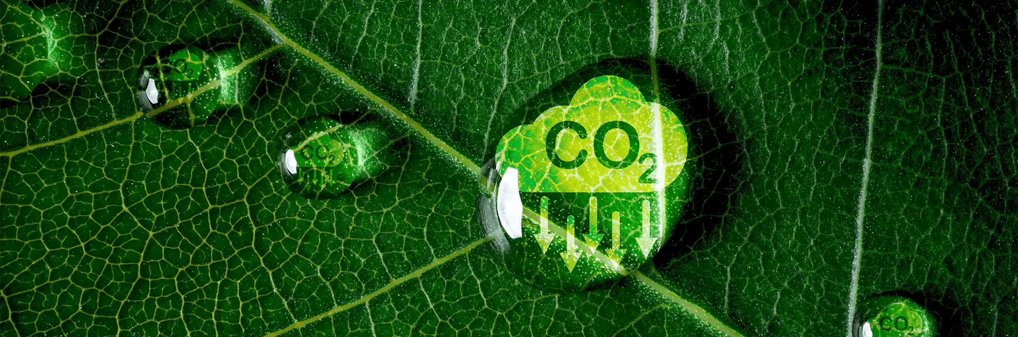 Pumps and Compressors for Carbon Capture, Utilization and Storage (CCUS