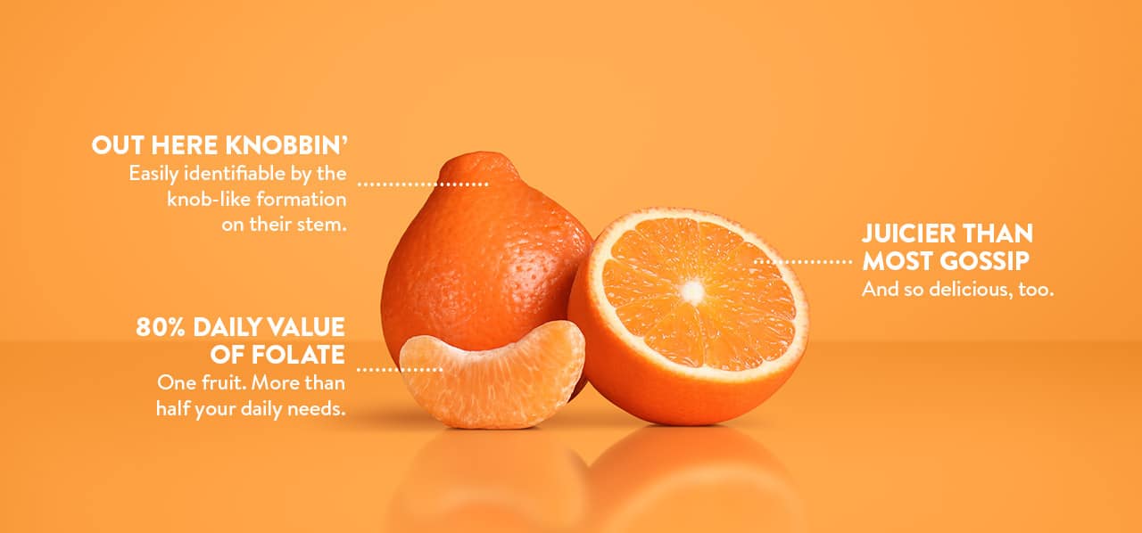 Minneola Tangelos Bold, Juicy, and Nutritious Sunkist